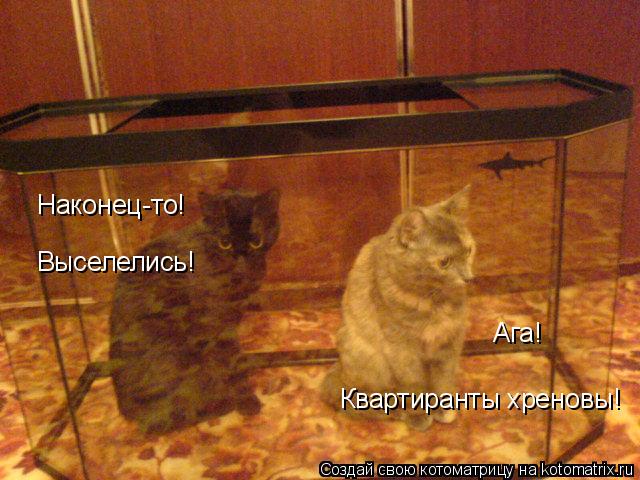 Котоматрица: Наконец-то! Выселелись! Ага! Квартиранты хреновы!