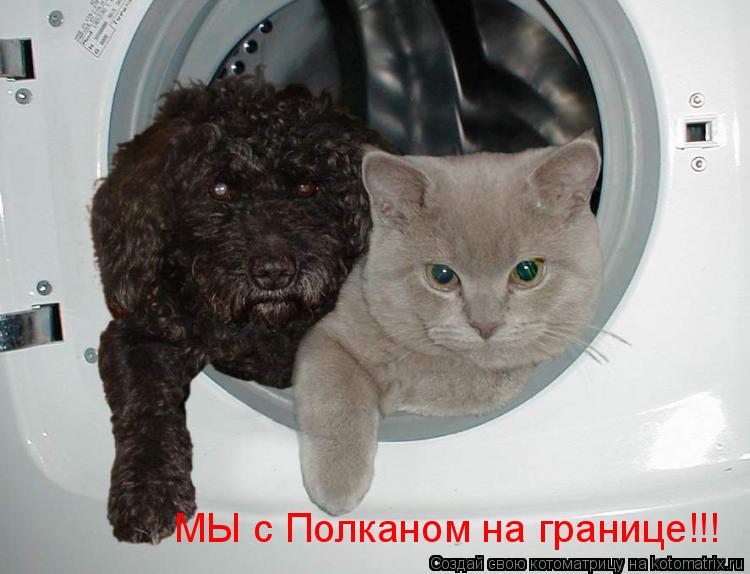 Котоматрица: МЫ с Полканом на границе!!!