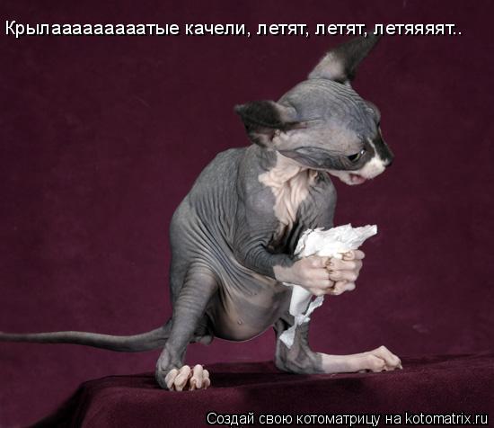 Котоматрица: Крылааааааааатые качели, летят, летят, летяяяят..