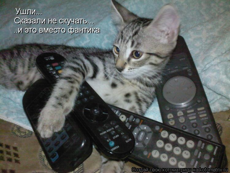 Котоматрица: Ушли... Сказали не скучать... ..и это вместо фантика