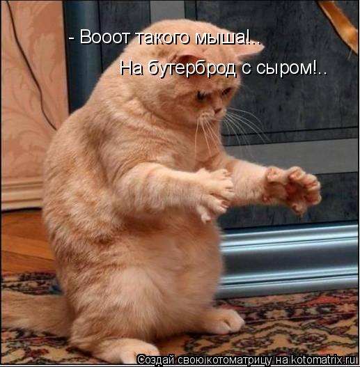 Котоматрица: - Вооот такого мыша!..  - Вооот такого мыша!..  На бутерброд с сыром!..