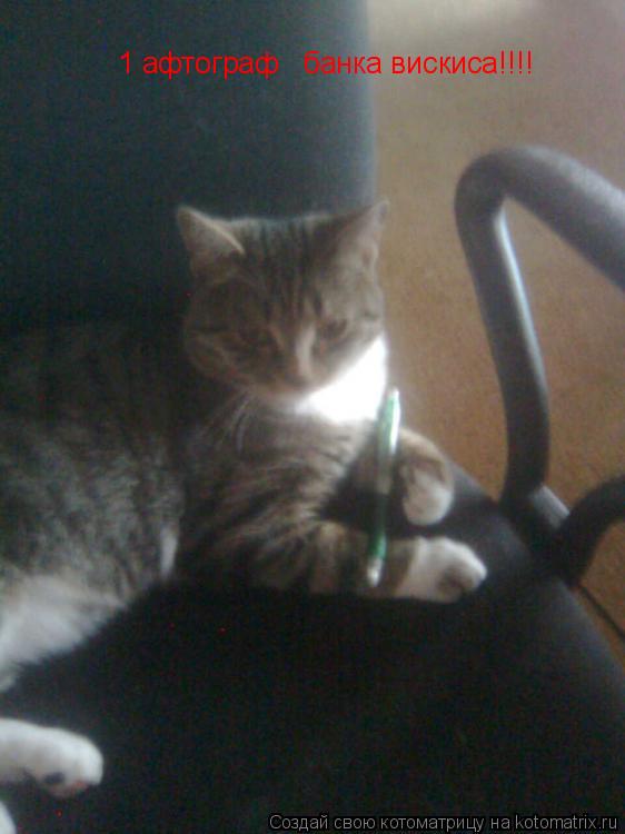 Котоматрица: 1 афтограф   банка вискиса!!!!
