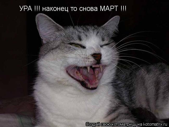 Котоматрица: УРА !!! наконец то снова МАРТ !!!