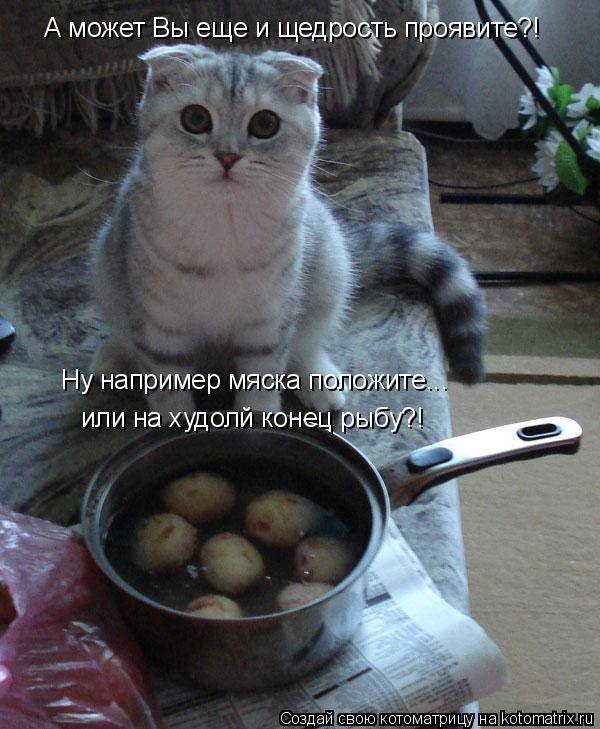 Котоматрица: А может Вы еще и щедрость проявите?! Ну например мяска положите... или на худолй конец рыбу?!