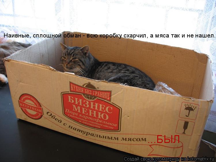 Котоматрица: Наивные, сплошной обман - всю коробку схарчил, а мяса так и не нашел. ...БЫЛ