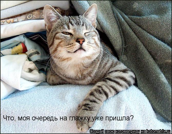 Котоматрица: Что, моя очередь на глажку уже пришла?