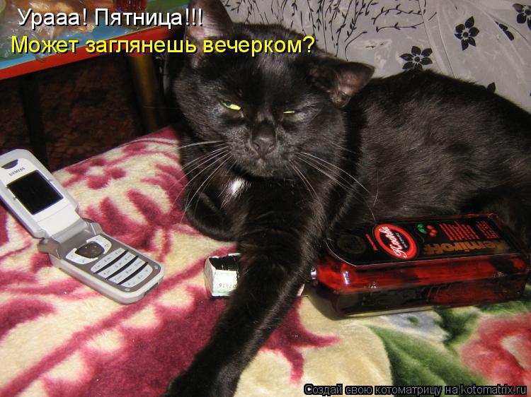 Котоматрица: Урааа! Пятница!!! Может заглянешь вечерком?
