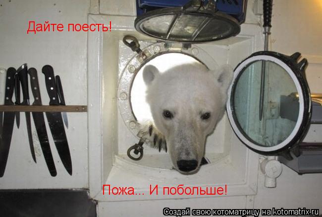 Котоматрица: Дайте поесть! Пожа... И побольше!