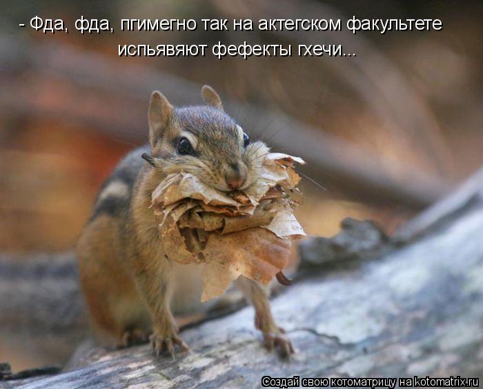 Котоматрица: - Фда, фда, пгимегно так на актегском факультете испьявяют фефекты гхечи...