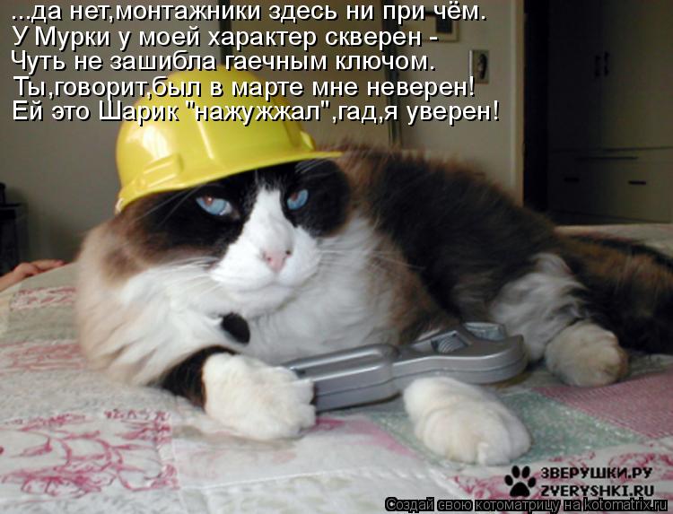 ...да нет,монтажники здесь ни при чём. У Мурки у моей характер скверен - Чуть не зашибла гаечным ключ... Котоматрица: ...да нет,монтажники здесь ни при чём. У Мурки у моей характер скверен - Чуть не зашибла гаечным ключом. Ты,говорит,был в марте мне неверен! Ей