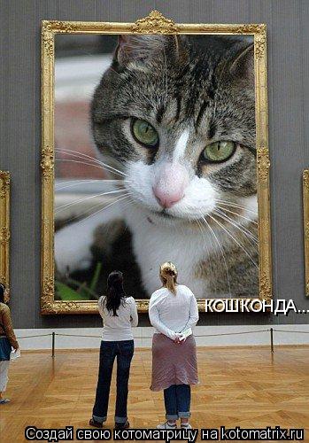 Котоматрица: КОШКОНДА....