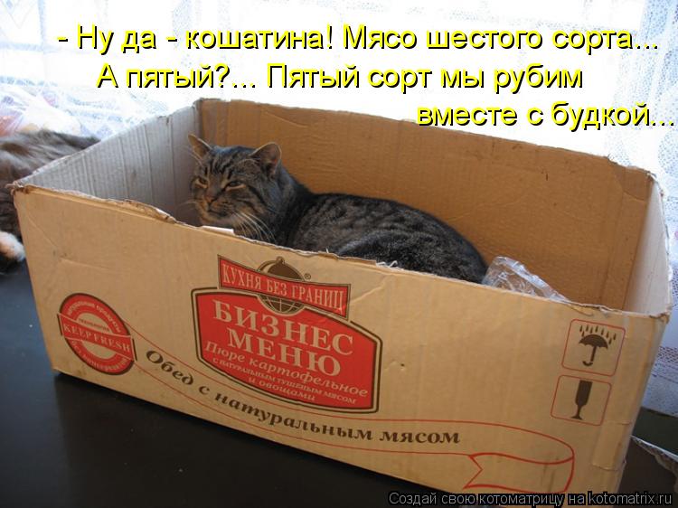 Котоматрица: - Ну да - кошатина! Мясо шестого сорта... А пятый?... Пятый сорт мы рубим вместе с будкой...