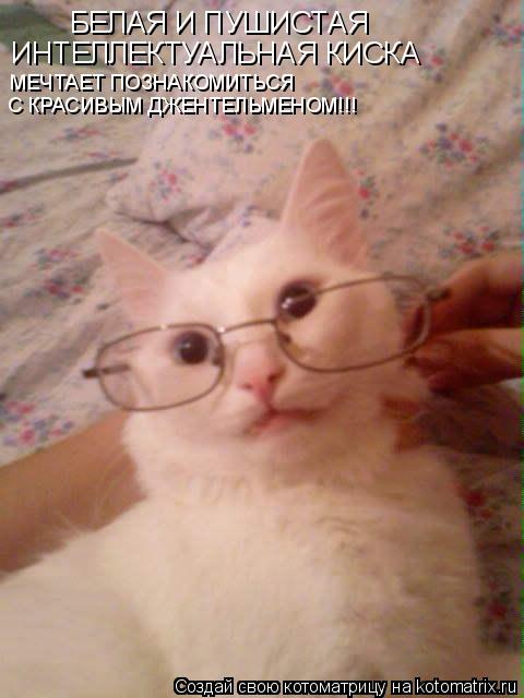 Котоматрица: БЕЛАЯ И ПУШИСТАЯ ИНТЕЛЛЕКТУАЛЬНАЯ КИСКА МЕЧТАЕТ ПОЗНАКОМИТЬСЯ С КРАСИВЫМ ДЖЕНТЕЛЬМЕНОМ!!!