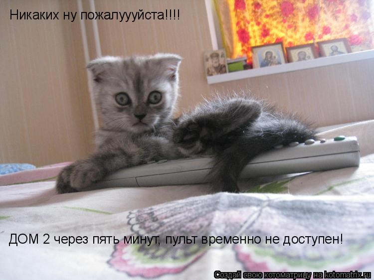 Котоматрица: Никаких ну пожалуууйста!!!! ДОМ 2 через пять минут, пульт временно не доступен!
