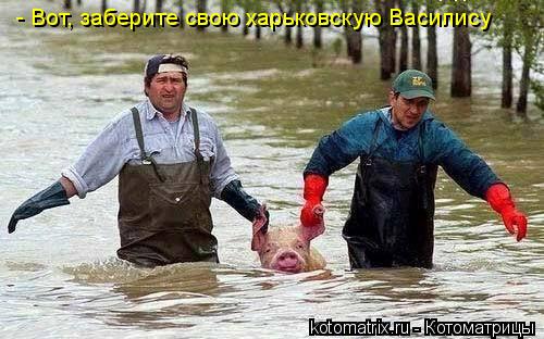 Котоматрица: - Вот, заберите свою харьковскую Василису