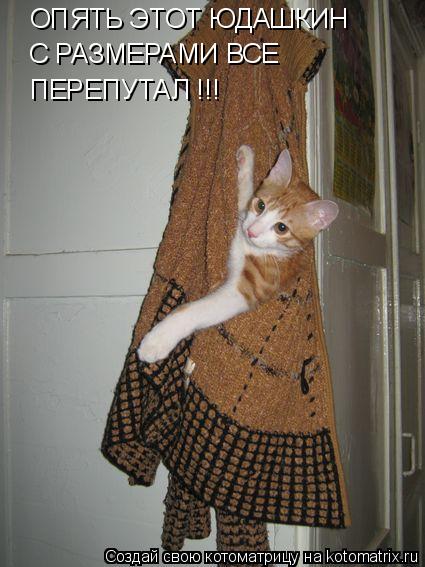 Котоматрица: ОПЯТЬ ЭТОТ ЮДАШКИН С РАЗМЕРАМИ ВСЕ  ПЕРЕПУТАЛ !!!