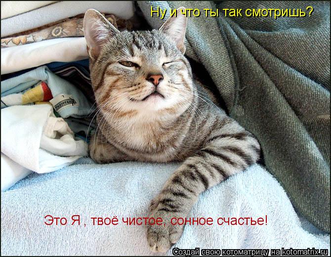 Котоматрица: Ну и что ты так смотришь? Это Я , твоё чистое, сонное счастье!
