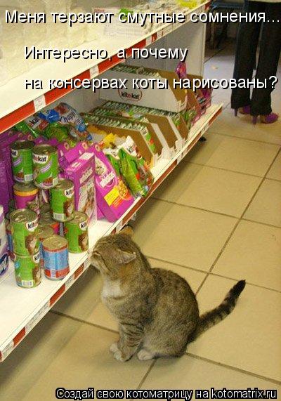 Котоматрица: Меня терзают смутные сомнения... Интересно, а почему  на консервах коты нарисованы?