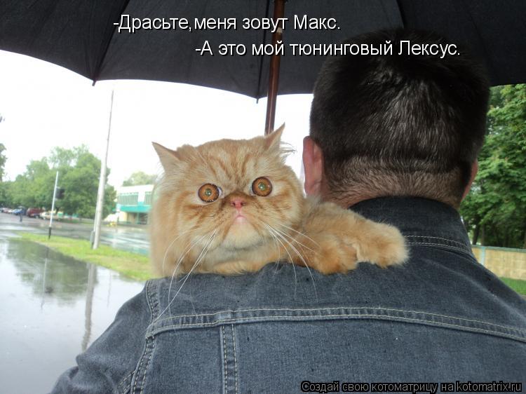 Котоматрица: -Драсьте,меня зовут Макс.  -А это мой тюнинговый Лексус.