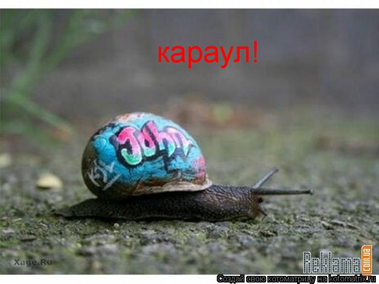 караул! хулиганы!... Котоматрица: караул! хулиганы!