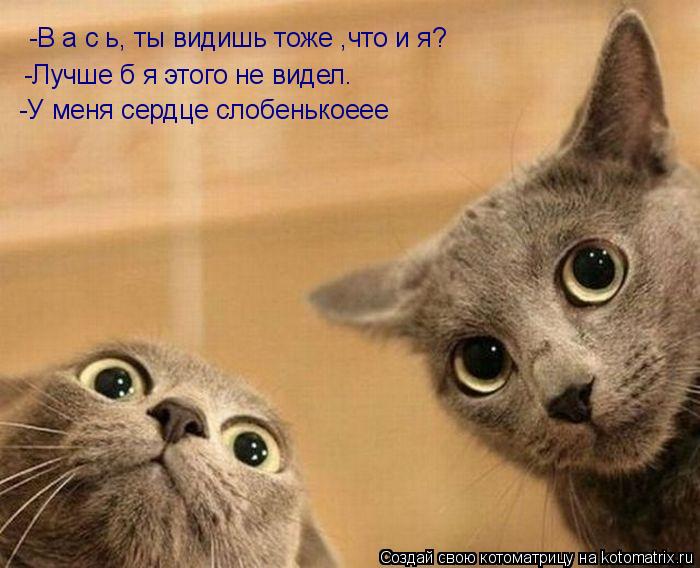 Котоматрица: -В а с ь, ты видишь тоже ,что и я? -Лучше б я этого не видел. -У меня сердце слобенькоеее