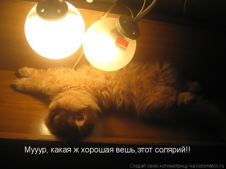 Котоматрица: Мууур, какая ж хорошая вешь,этот солярий!!