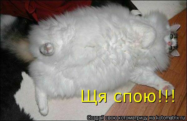 Котоматрица: Щя спою!!!
