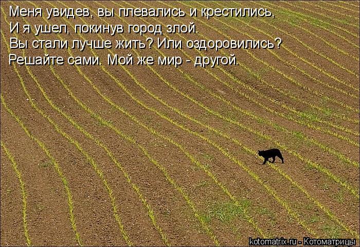 Котоматрица: Меня увидев, вы плевались и крестились, И я ушел, покинув город злой. Вы стали лучше жить? Или оздоровились? Решайте сами. Мой же мир - другой.
