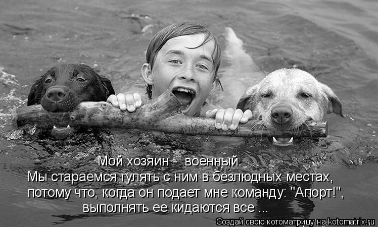 Мы стараемся гулять с ним в безлюдных местах, потому что, когда он подает мне команду: "Апорт!", вы... Котоматрица: Мы стараемся гулять с ним в безлюдных местах, потому что, когда он подает мне команду: "Апорт!", выполнять ее кидаются все ... Мой хозяин - вое