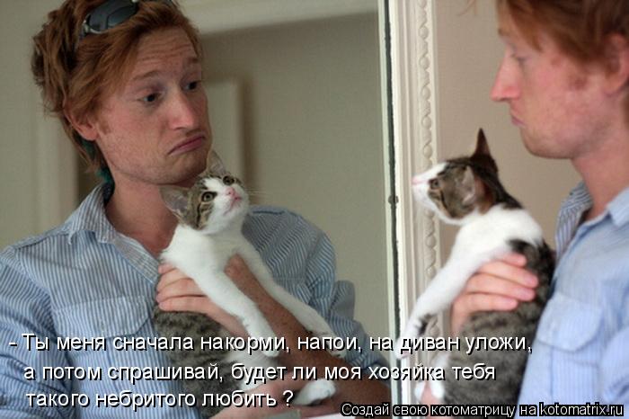 Котоматрица: - Ты меня сначала накорми, напои, на диван уложи, а потом спрашивай, будет ли моя хозяйка тебя  такого небритого любить ?