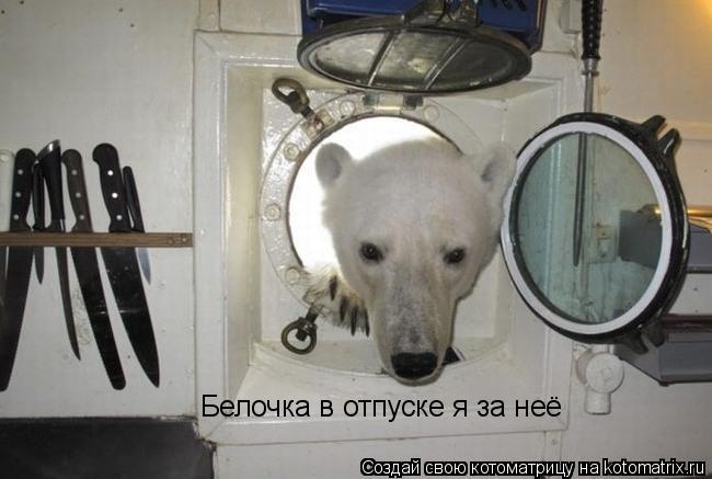 Котоматрица: Белочка в отпуске я за неё