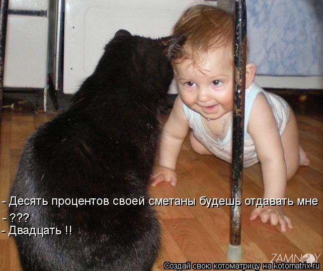 Котоматрица: - Десять процентов своей сметаны будешь отдавать мне - ??? - Двадцать !!