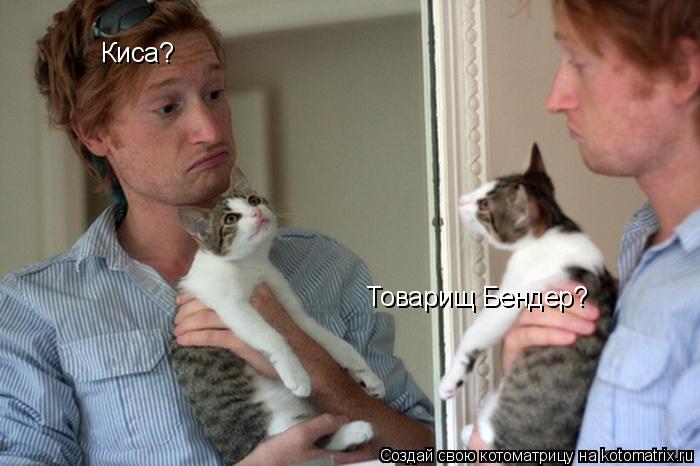 Котоматрица: Киса? Товарищ Бендер?