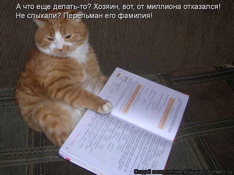 Котоматрица: А что еще делать-то? Хозяин, вот, от миллиона отказался! Не слыхали? Перельман его фамилия!