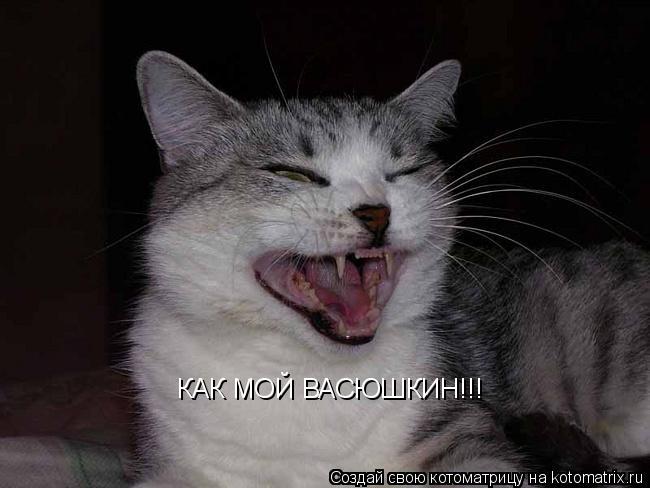 Котоматрица: КАК МОЙ ВАСЮШКИН!!!