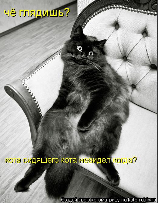 Котоматрица: чё глядишь? кота сидяшего кота невидел когда?
