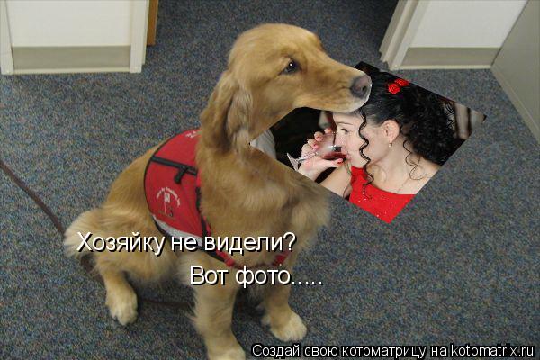 Котоматрица: Хозяйку не видели? Вот фото.....