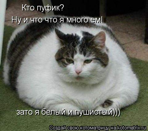 Котоматрица: Кто пуфик? Ну и что что я много ем! зато я белый и пушистый)))