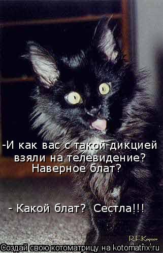 Котоматрица: -И как вас с такой дикцией  взяли на телевидение? Наверное блат? - Какой блат?  Сестла!!!