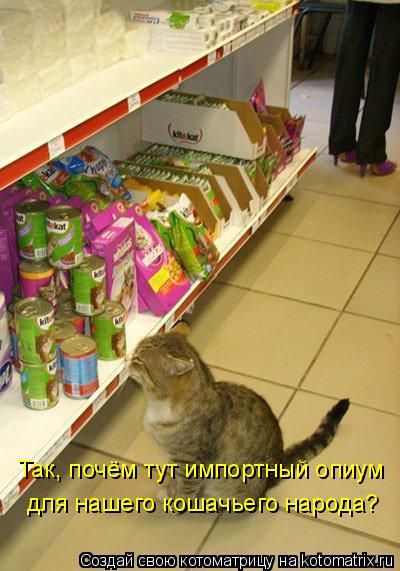 Котоматрица: Так, почём тут импортный опиум для нашего кошачьего народа?