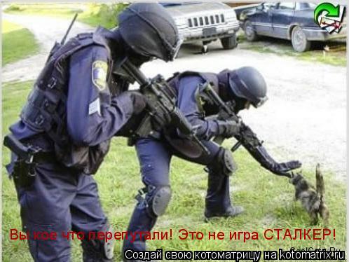 Котоматрица: Вы кое что перепутали! Это не игра СТАЛКЕР!