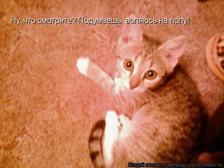 Котоматрица: Ну, что смотрите? Подумаешь, воляюсь на полу!