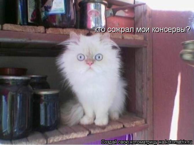 Котоматрица: кто сожрал мои консервы?