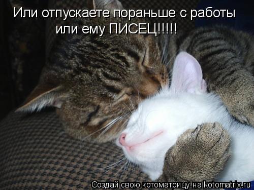 Котоматрица: Или отпускаете пораньше с работы или ему ПИСЕЦ!!!!!