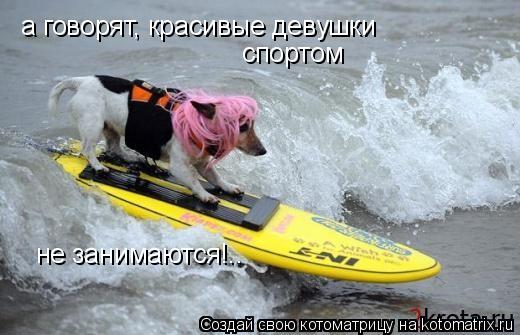 Котоматрица: а говорят, красивые девушки  спортом не занимаются!..