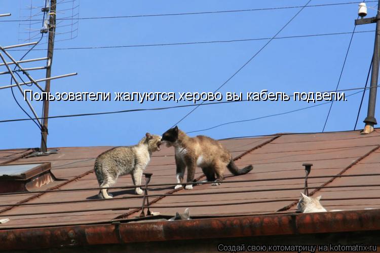 Пользователи жалуются,херово вы кабель подвели.... Котоматрица: Пользователи жалуются,херово вы кабель подвели.