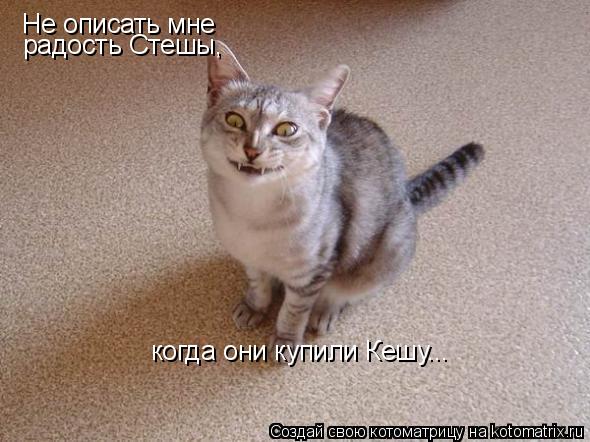 Не описать мне радость Стешы, когда они купили Кешу...... Котоматрица: Не описать мне радость Стешы, когда они купили Кешу...