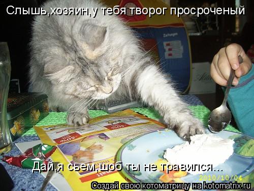 Слышь,хозяин,у тебя творог просроченый Дай,я сьем,шоб ты не травился...... Котоматрица: Слышь,хозяин,у тебя творог просроченый Дай,я сьем,шоб ты не травился...