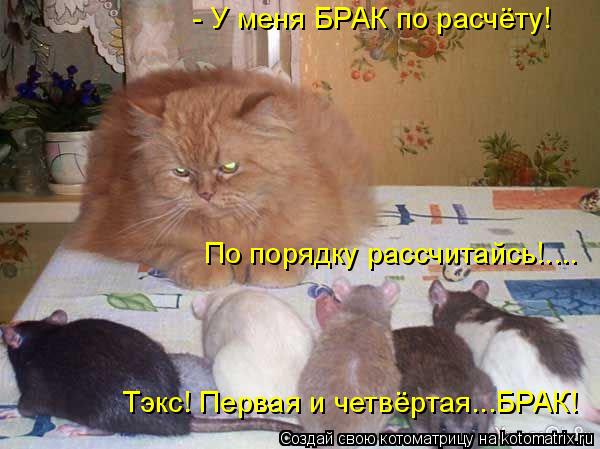 - У меня БРАК по расчёту! По порядку рассчитайсь!.... Тэкс! Первая и четвёртая...БРАК!... Котоматрица: - У меня БРАК по расчёту! По порядку рассчитайсь!.... Тэкс! Первая и четвёртая...БРАК!