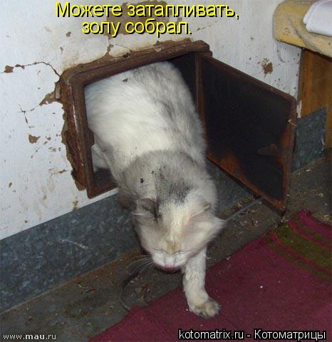 Можете затапливать, золу собрал.... Котоматрица: Можете затапливать, золу собрал.